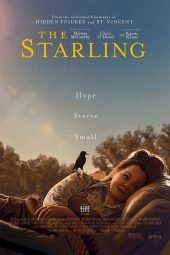 ดูหนังฟรีออนไลน์ใหม่ The Starling (2021) เดอะ สตาร์ลิง