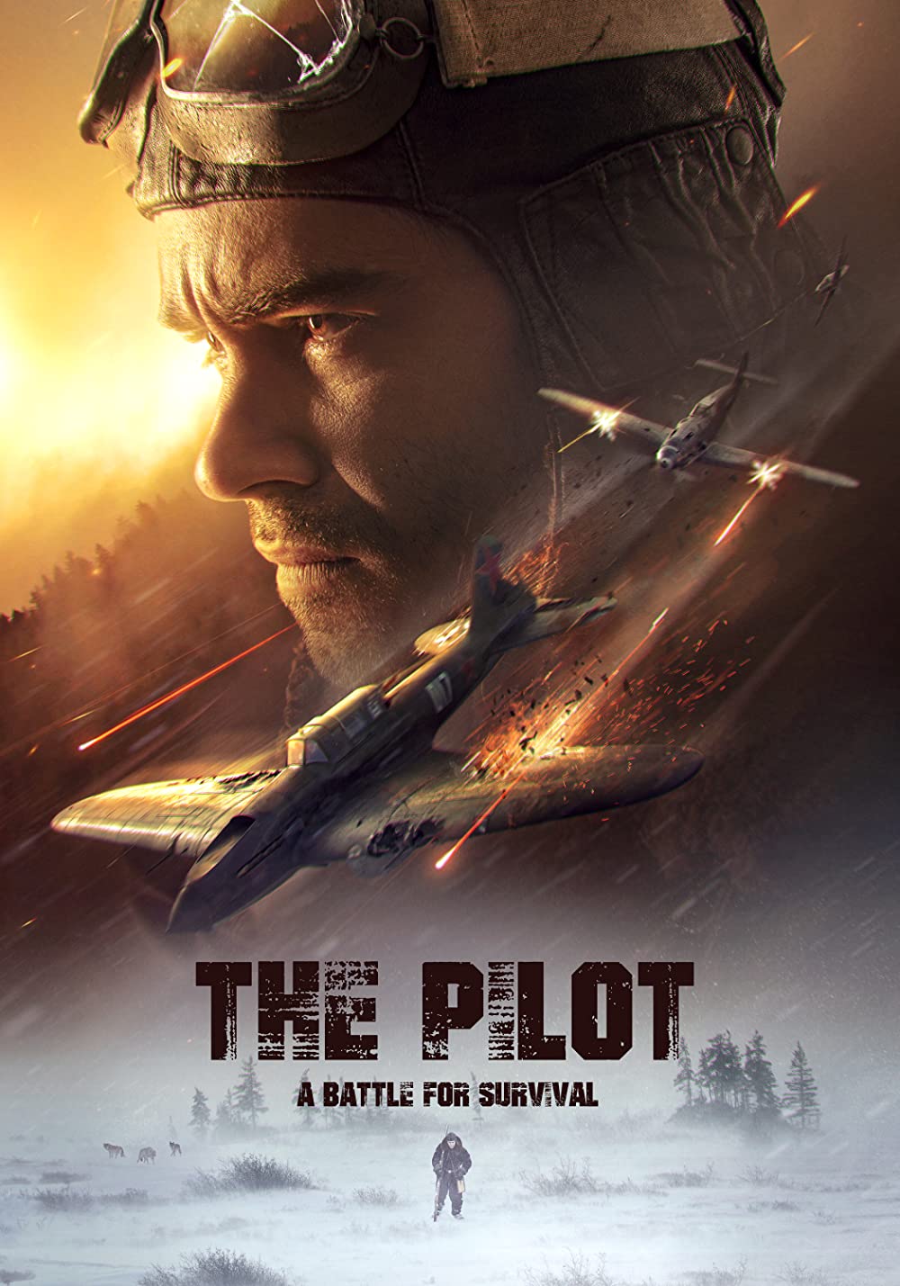 ดูหนังฟรีออนไลน์ The Pilot. A Battle for Survival (2021) HD