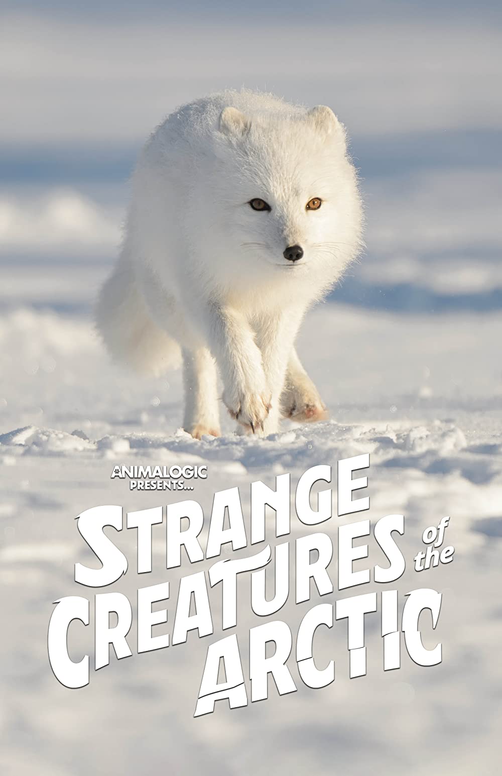 Strange Creatures of the Arctic 2022