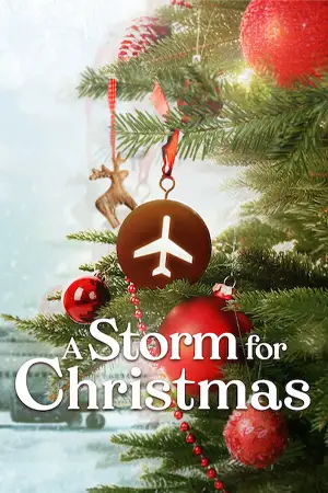 หนังออนไลน์ A Storm for Christmas (2022)