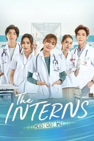 หนังออนไลน์ The Interns (2023)