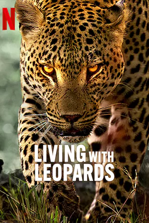 ดูหนังฟรีออนไลน์ Living with Leopards (2024)