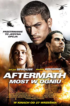 ดูหนังออนไลน์ฟรี Aftermath (2024)